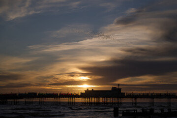 Naklejka na ściany i meble Moody beautiful sunset of Worthing Pier with a murmuration of starlings over the pier.