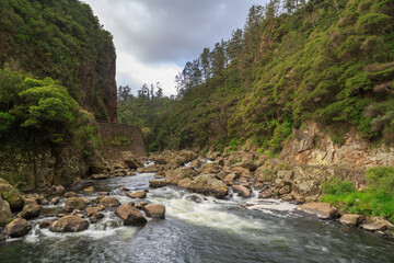 Landscape in the Karangahake Gorge, New Zealand. The Ohinemuri River flows at the bottom of a deep, forested valley. State Highway 2 clings to a cliff at the left