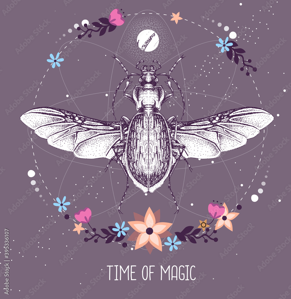 Wall mural Modern magic witchcraft taros card with ground beetle on astrology background. Vector illustration