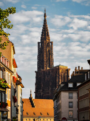 Strasbourg's majestic cathedral rises above the city.