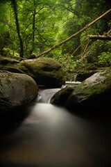 Obraz premium Small waterfalls streaming into small pond in green forest in long exposure