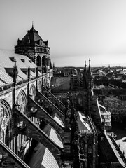 Buttresses and other Gothic elements of the tallest cathedral, Strasbourg.