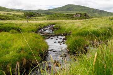 River in the irish fields, green summer woodland and creek