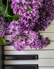 Flats of flowers and musical instruments. Purple lilac lies on the piano. © Olha