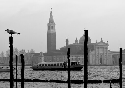 Venice, Italy, December 28, 2018 evocative black and white image of the dome of the Basilica of San Giorgio on the background with a seagullperched on a lamppost in the foreground