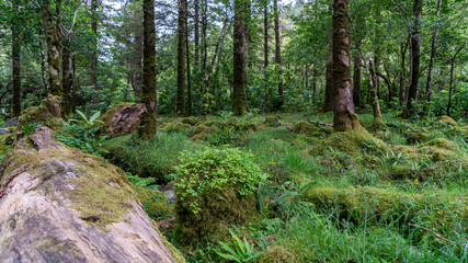 Wonderful nature, with wonderful colors, lights and shadows.