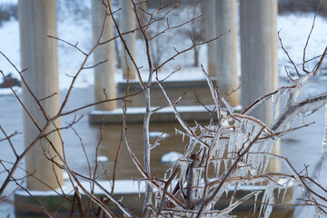 The branches in ice under the bridge.