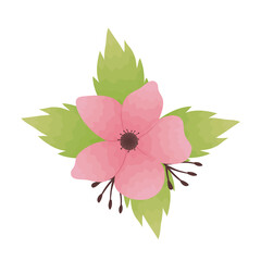 beautiful flower pink and leafs decorative icon vector illustration design