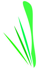 abstract plant, geometric vector design