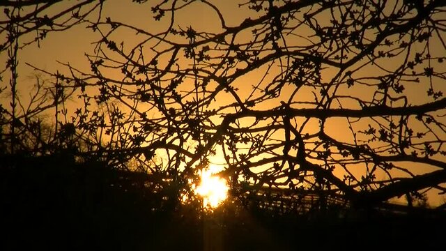 Sonnenaufgang (Zeitraffer)
