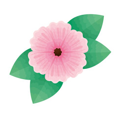 pink beautiful flower and leafs decorative icon vector illustration design