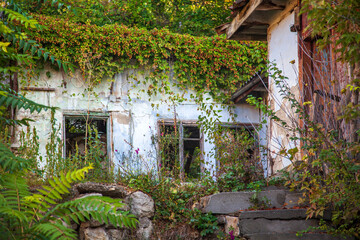 Fototapeta na wymiar abandoned, old wooden house in russian village.