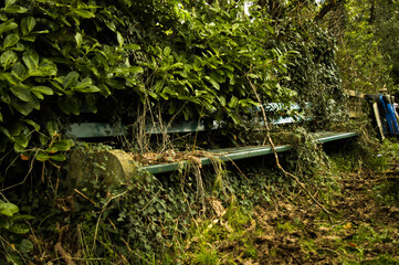 overgrown bench in the park