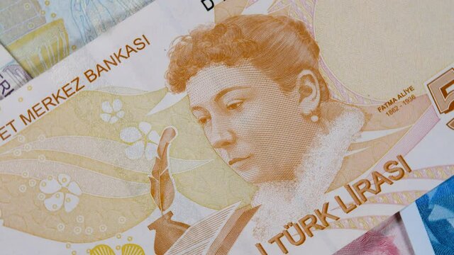 Face of women's rights activist and humanitarian Fatma Aliye Topuz on 50 turkish lira TRY banknote. Official currency of Republic of Turkey, paper bill