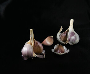 Still life with fragrant garlic on a black background