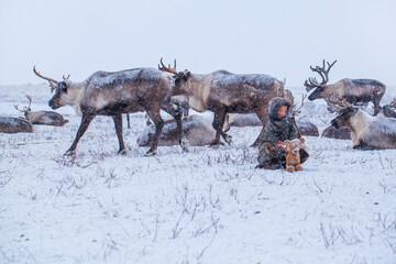 The Yamal Peninsula. Reindeer with a young reindeer herder. Happy boy on reindeer herder pasture playing with a toys in winter
