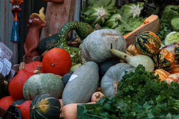 pumpkins in a market