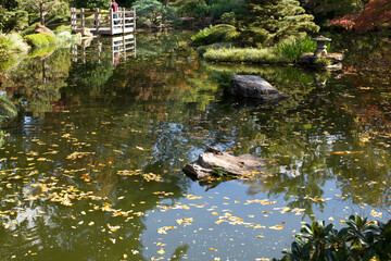 Fall in the Japanese Gardens