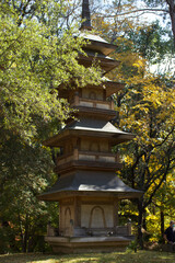 Fall in the Japanese Gardens