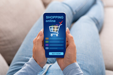 Woman Using Smartphone App, Shopping Buying Products Online Indoors, Collage