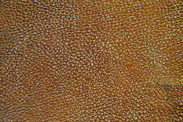 Natural leather. Texture Background image