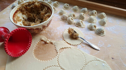 Making homemade dumplings with cabbage and mushrooms