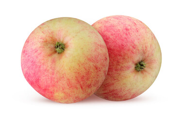 apples isolated on a white background