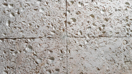 This is a light limestone slab with traces of shells. Shell rock texture. Natural stone background