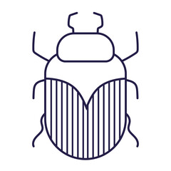 insect animal in cartoon line icon style white background