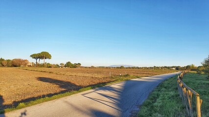 Road betweewn fields with Monte Subasio in the background.