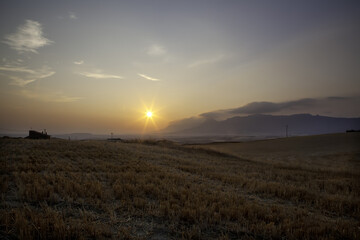 Dusk sky over field