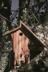 Casa para pájaros de madera en un árbol
