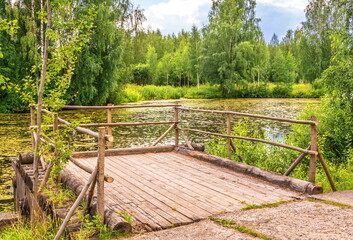 Fototapeta na wymiar Wooden bridge on the shore of forest lake overgrown with duckweed