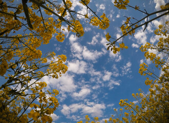 different perspective