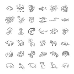 Line animals concepts, vector icons set