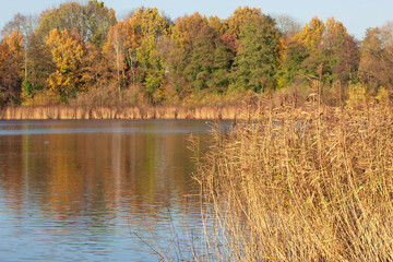 Scenic view of peaceful lake on a sunny autumn day