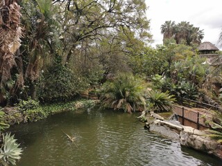 pond at a resort