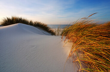 Wydmy na wybrzeżu Morza Bałtyckiego,trawa, plaża, biały piasek,Kołobrzeg,Polska.