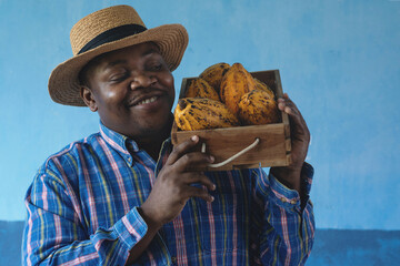 African farmers carry crates of cocoa fruit, selective focus,  Cacao fruits which is used as raw...