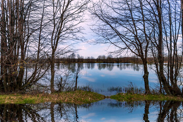 Fototapeta na wymiar Reflection of dry trees in the lake in spring.