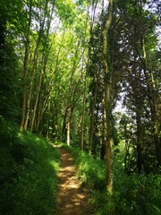 Senderismo por rutas del Bizkaia.