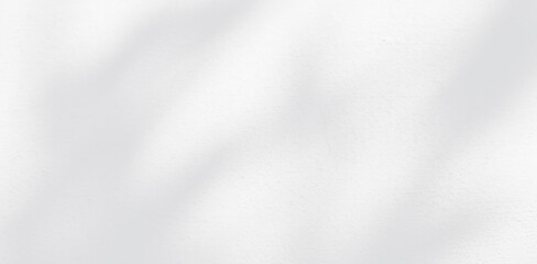 Fototapeta premium Abstract Shadow. blur background. gray leaves that reflect concrete walls on a white wall surface for blurred backgrounds and monochrome wallpapers.