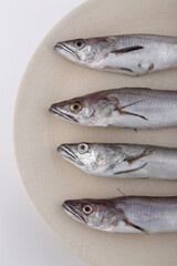 small and raw hake fish as sea food