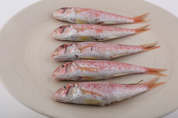 red mullet fish