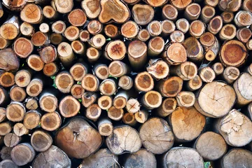 Möbelaufkleber log trunks pile © sakhorn38