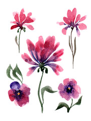 Obraz na płótnie Canvas pink and white flowers set