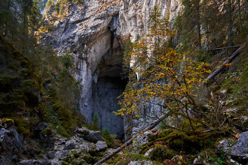 Obraz premium Entrance of a big cave