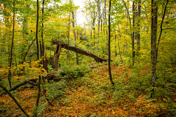 Fall Hiking in the Upper Pennisula Michigan.