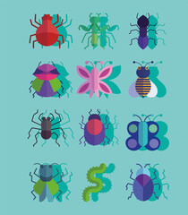 set of different insects or bugs small animals with shadow style