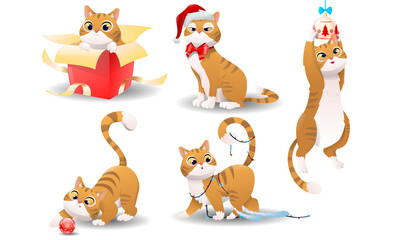 Fototapeta premium Cartoon christmas cat